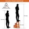 Portable Folding Step Stool Solid Pine Wood Lightweight Step Ladder for Home & Office